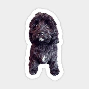 Cavapoo Cavoodle Cockapoo Cuteness Sticker